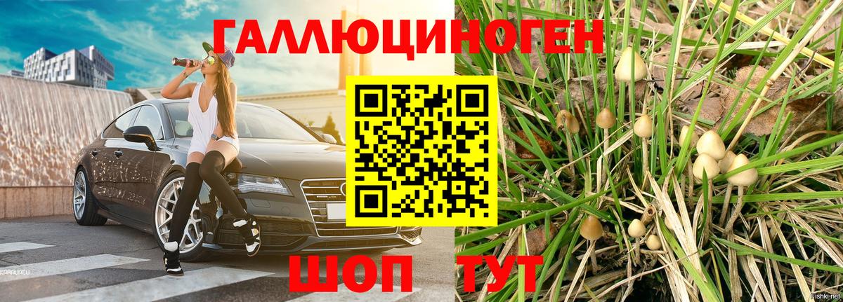 Долгопрудный  Псилоцибиновые грибы GOLDEN TEACHER  Вход с VPN 