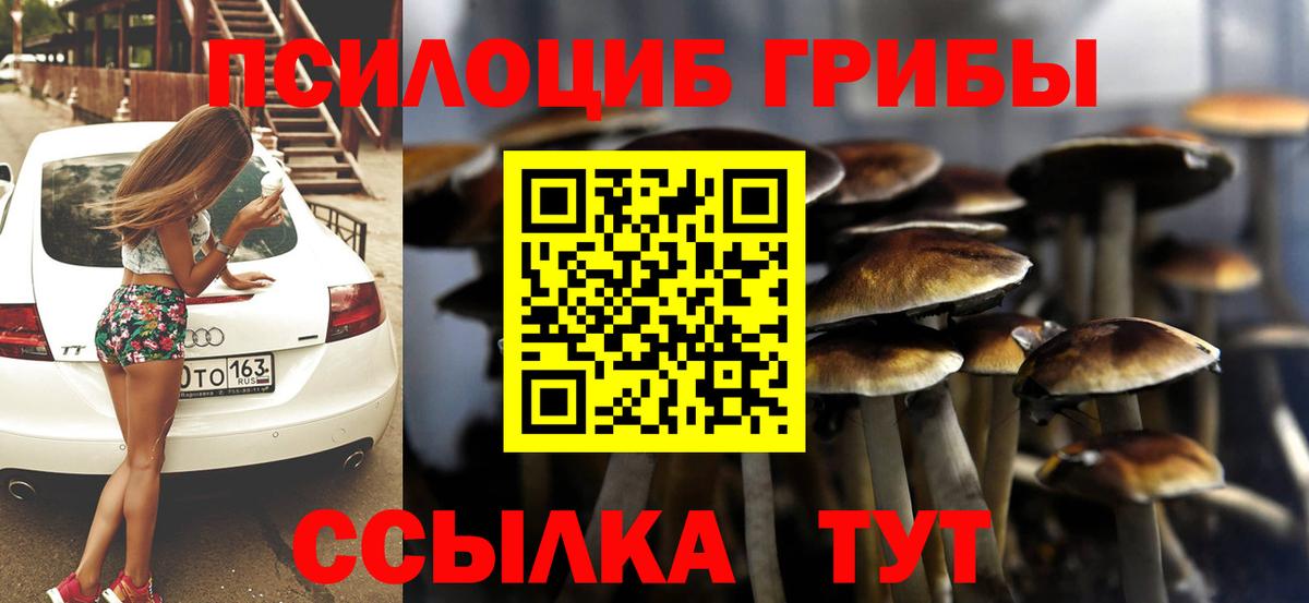 Галлюциногенные грибы Psilocybine cubensis Долгопрудный